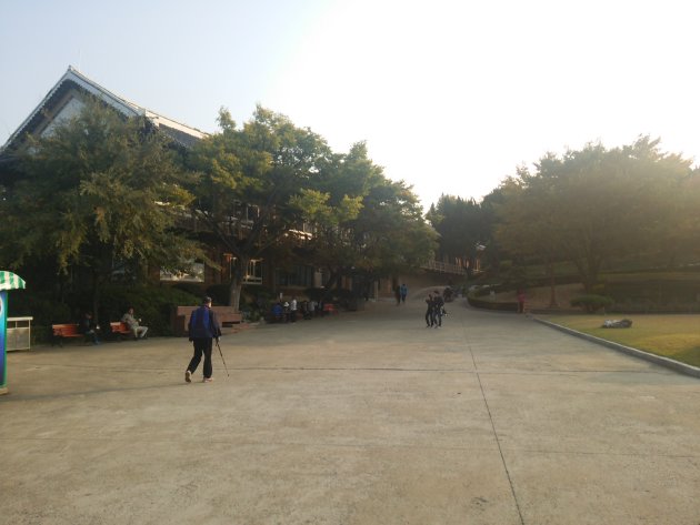 達城公園内の風景
